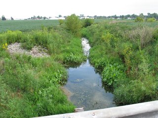 Property photo 7 - 229 +/- Acres Offered in 2 Tracts - Land Auction